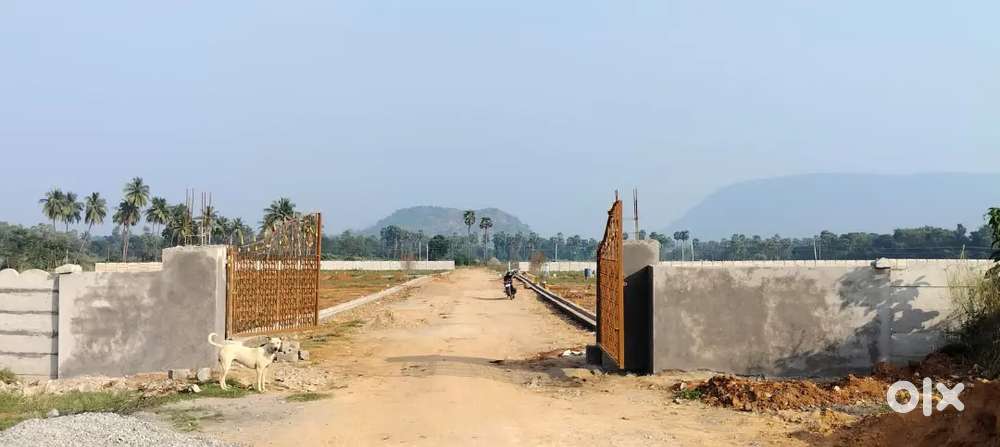 RESIDENTIAL PLOTS FOR SALE IN SABBAVARAM