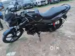 2021 Passion Pro insurance available
