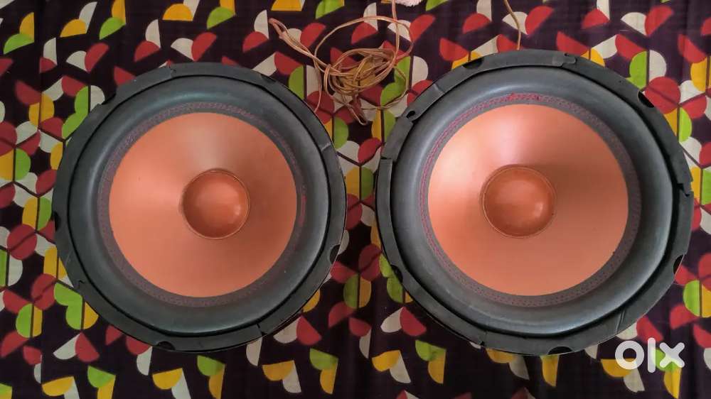 Woofer 10 inchi
