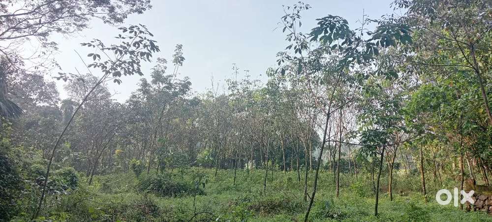 Housing plot for sale