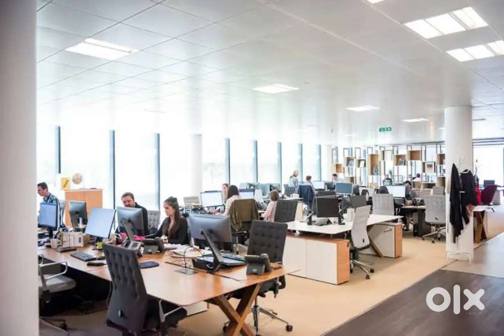 Sales&service engineer