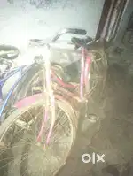Ladies cycle