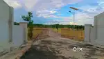 Urgent sale farm land in Kinathukadavu arasampalayam