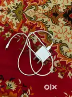 iPhone adapter & lightning cable (OG)