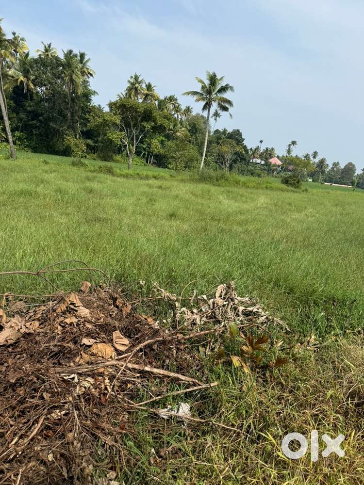 27 cent land for sale - Mala . Rs - 24000/- per cent