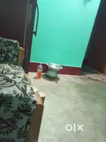 Maid Houses requiredment
