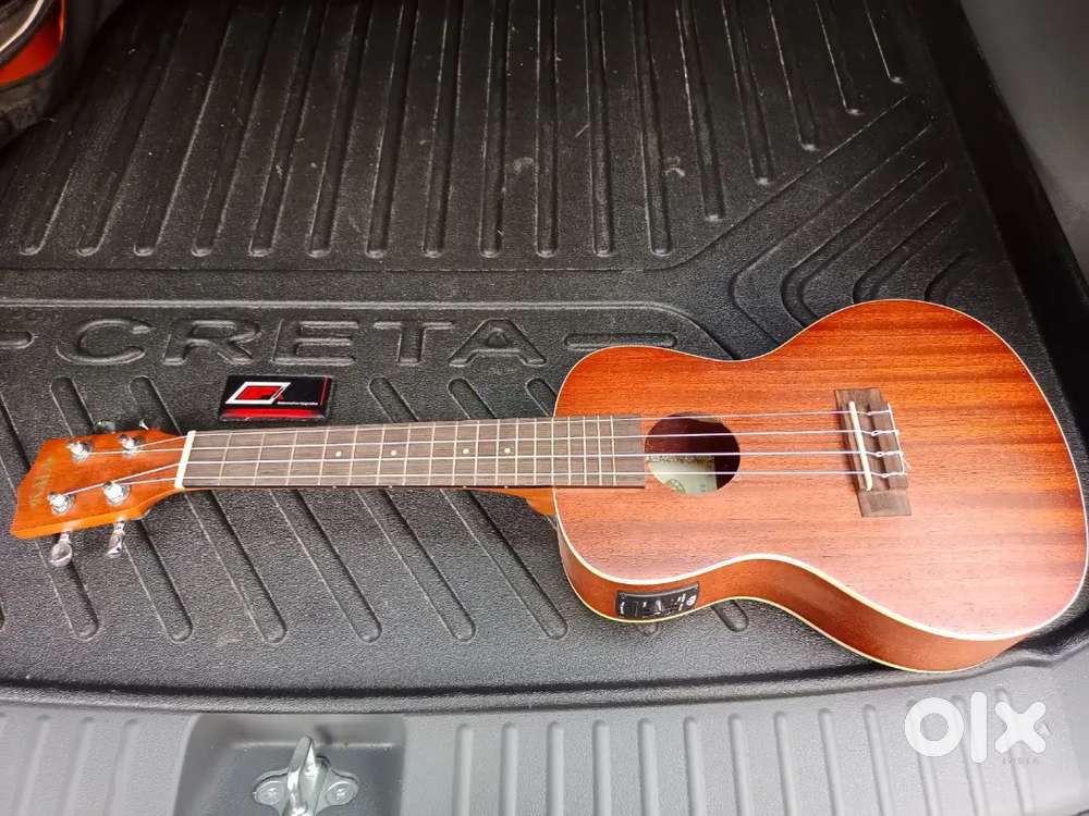 Ukulele Brand New Unused