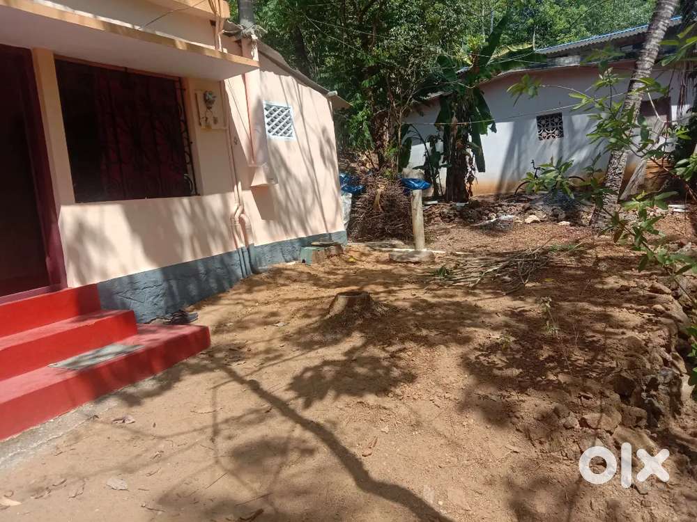 House and plot for sale 10 cent