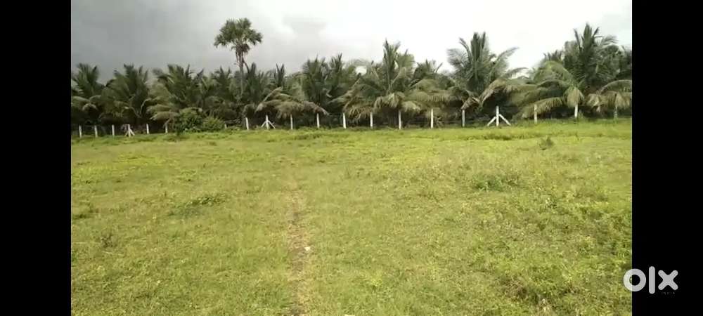 Land for sale in Pollachi 4.2 acre