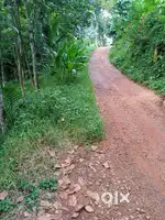 35Cents land for sale in ayavana panchayath road side