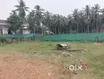 3.5 cents land for sale 800000,