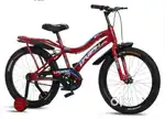 10 years unisex bicycle