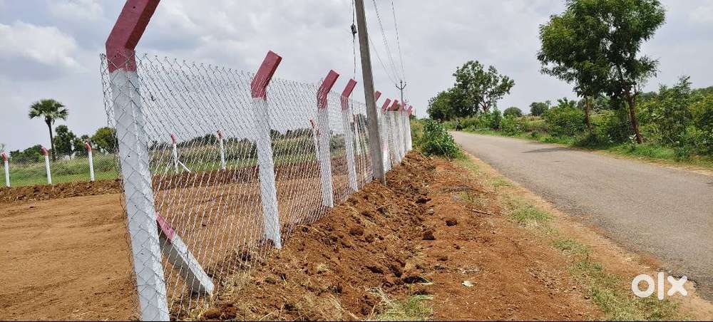 Dambar Road BIT,Clear Title,20 guntas Agriculture land for sale