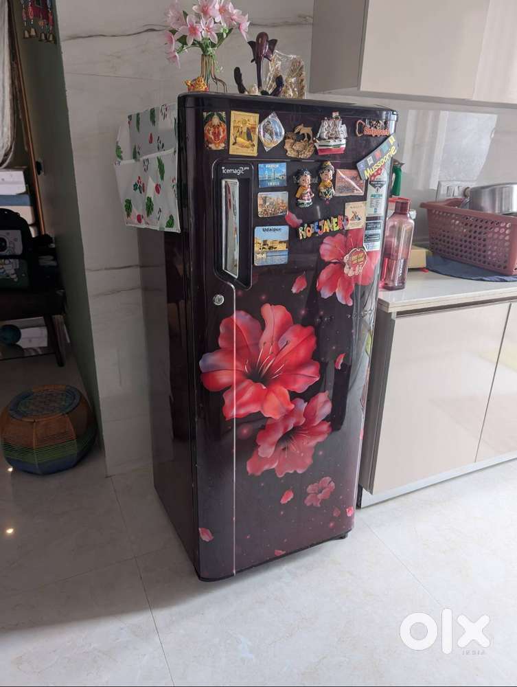 Whirlpool 245L Single Door Fridge – Excellent Condition  10yr Warra