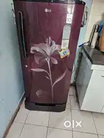 LG Fridge 195 ltr