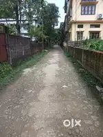 Meher pur jagadeesh basu lane 2.5 khatha plot for t