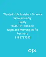 Wanted Hub Assistant