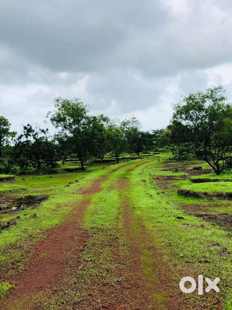 131 एकर पावस रोड 8 k.mनाखरे गाव हायवे टच रत्नागिरी महाराष्ट्र