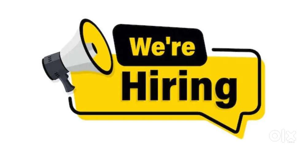 Script Writer and Content Writer