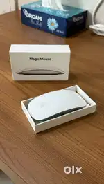 Apple Magic Mouse