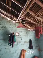 Hamko paosa ki jarut h