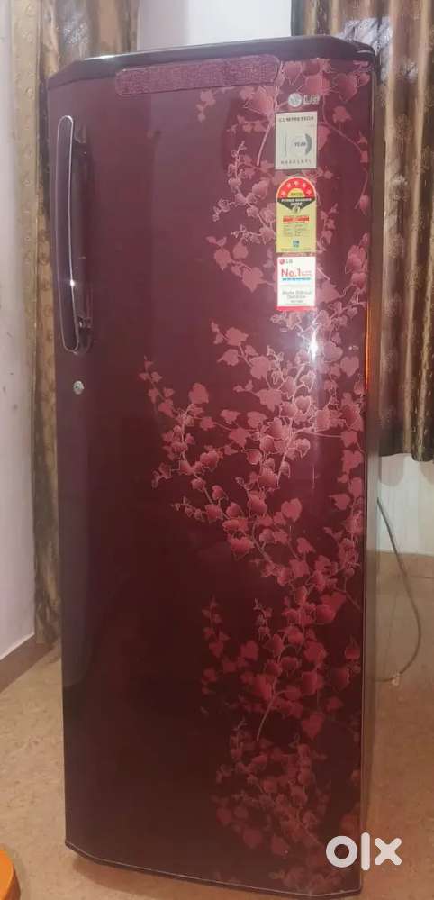 Lg Refrigerator 5 Star