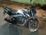 Passion Pro 2022 model
