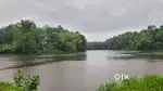 MUVATTUPUZHA KADATHI RACKAD 90 CENT PADDY FRONTAGE NEAR KOLENCHERY