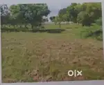 Vila Plot for sale near poonthandalam