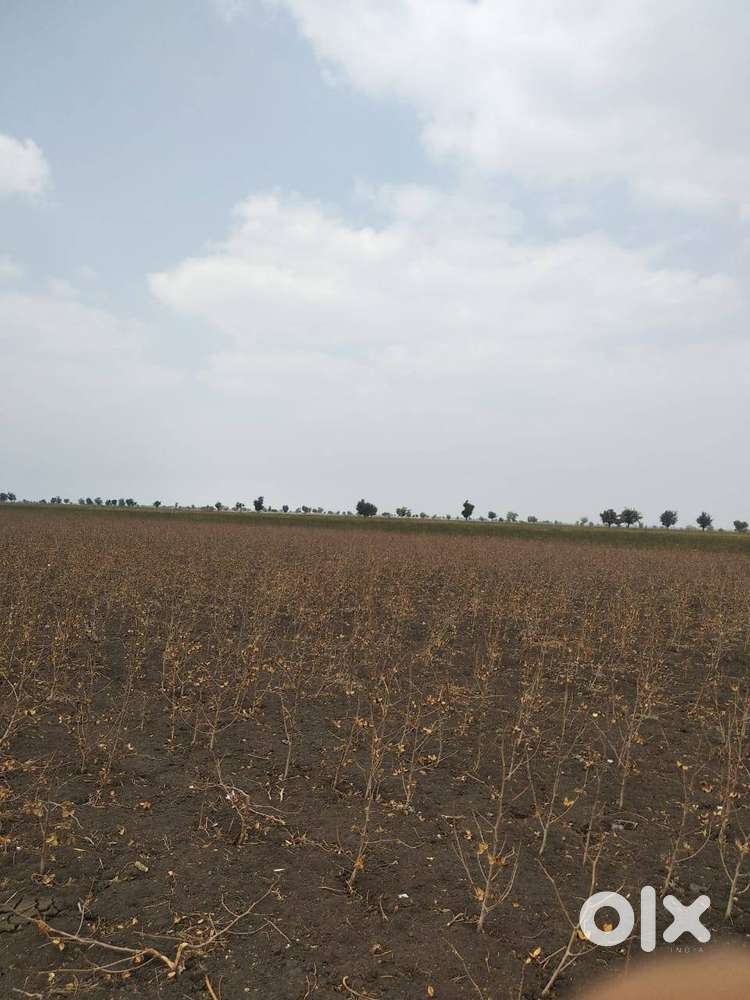 2 Acre Irrigated agriculture land for sale in Yamanur road, Annigeri