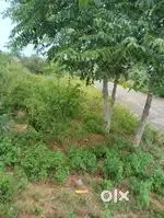 Plots for sale near mountopera nh65 highway