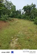 Farmus  property