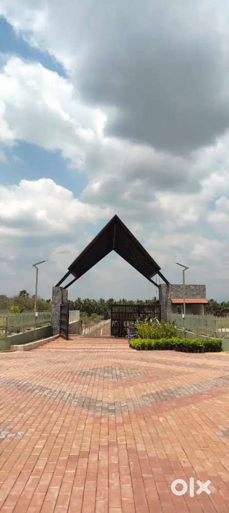 Urgent Sale Low Budget Farmland Sale in Othakaalmandabam