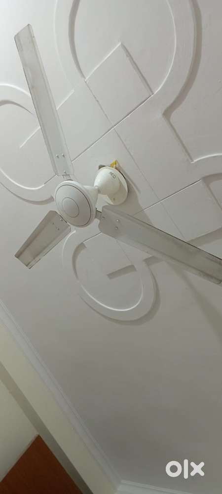 Ceilling fan for sell
