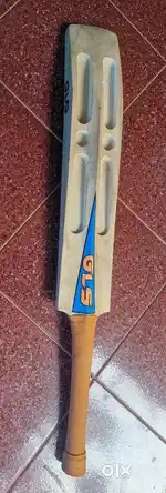 Cricket bat