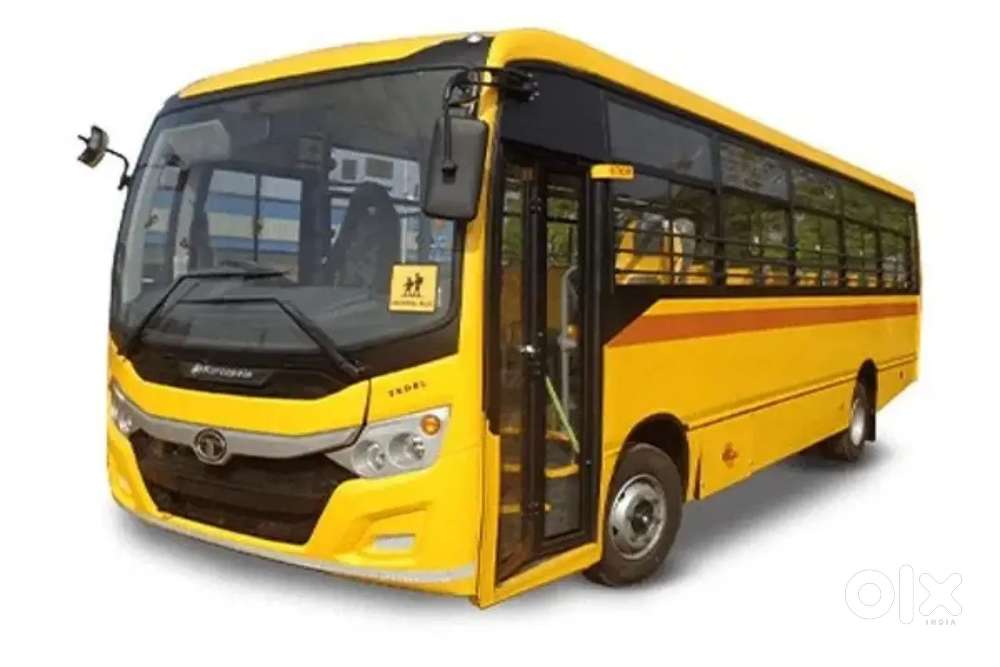 School Bus Driver wanted