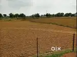 1 Acres Agriculture  Land for sale at Best Location  for Investment