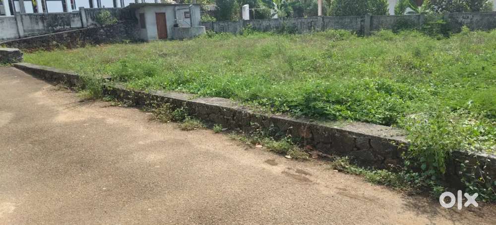 ഏറ്റുമാനൂർ പാലാ റോഡിൽ നിന്നും 300 mtr ദൂരത്തിൽ 8സെന്റ് സ്ഥലം