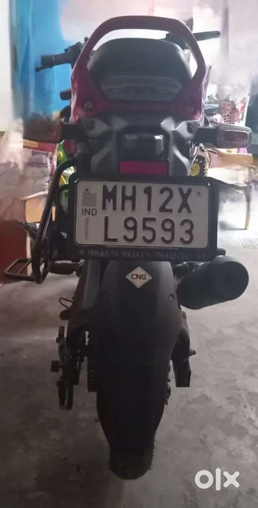 Freedom 125 CC Bike CNG Bike
