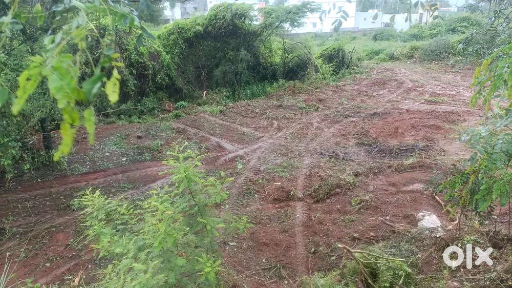Palakkad Main road Ettimadai junction near