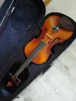 Musical Violen