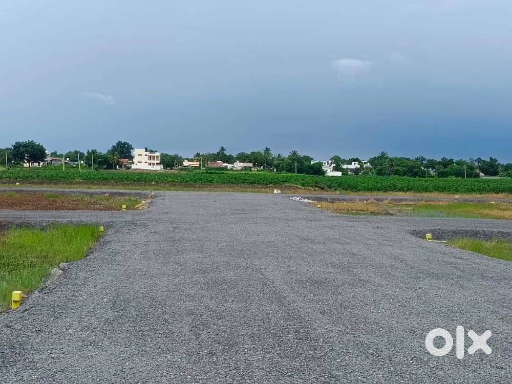 Plots Just 7 KM from Amaravati Capital – Damuluru Prime Location