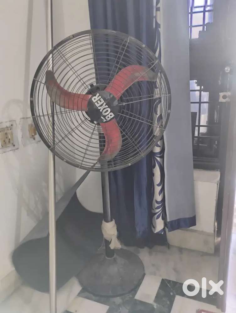 A new Fan in 500