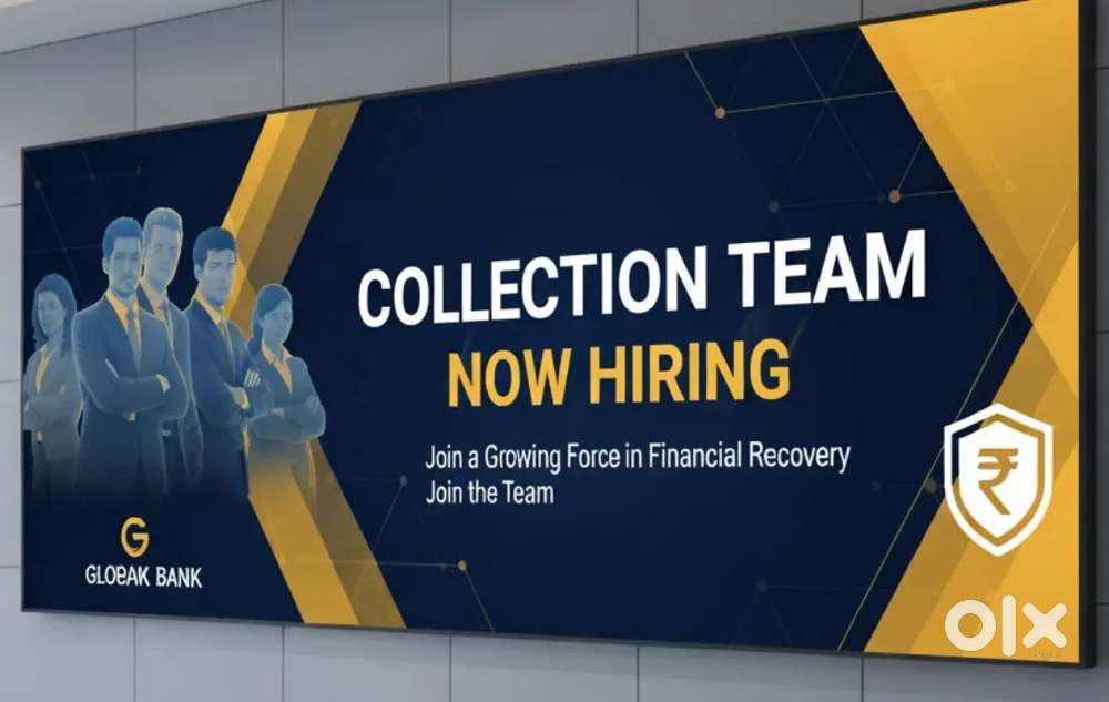 Collection Executives