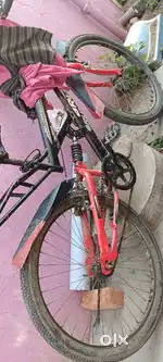 Brut Central Spring Cycle