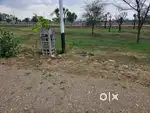 Farm House land for Sale