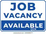PERSONAL ASSISTANT AND  RECEPTIONIST URGENT REQUIREMENT Female Only