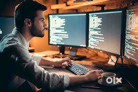 software developer