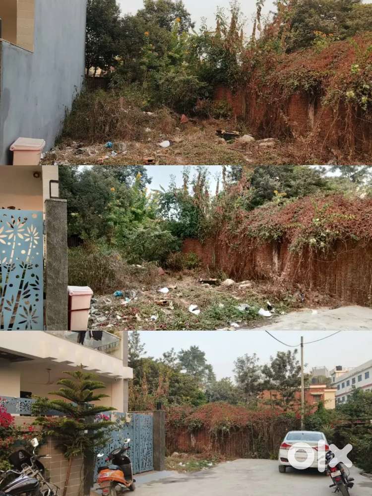 Beautiful Property with Peaceful surroundings (No Brokerage)