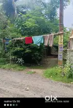 2.5kata Taherpur -nadia